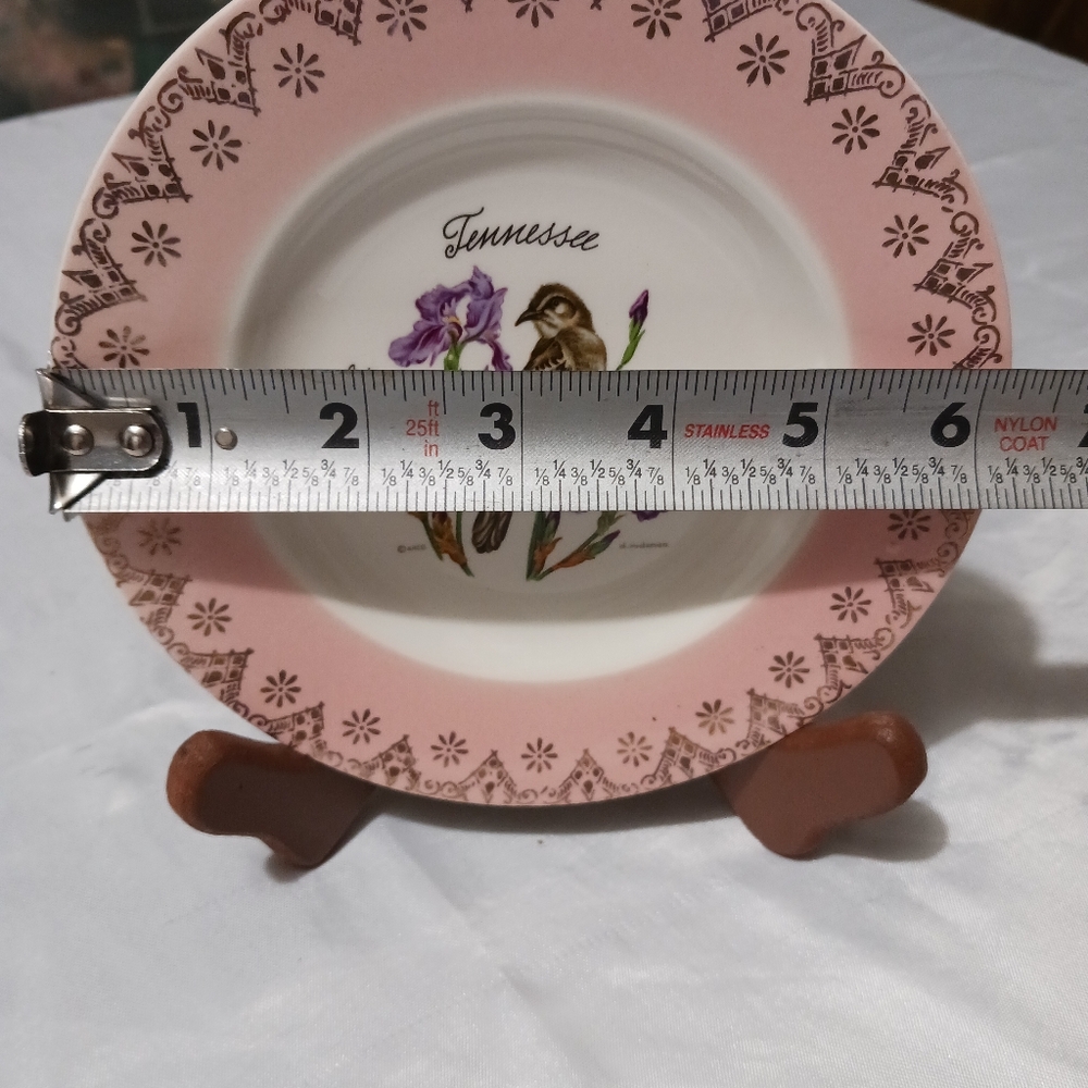 Vintage Tennessee Souvenir Mockingbird Iris Decorative Plate - Picture 5 of 6